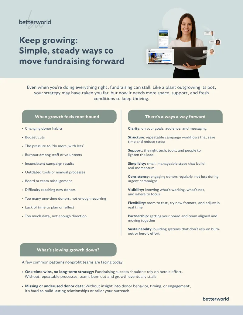 Fundraising Growth Strategies and Support Systems
