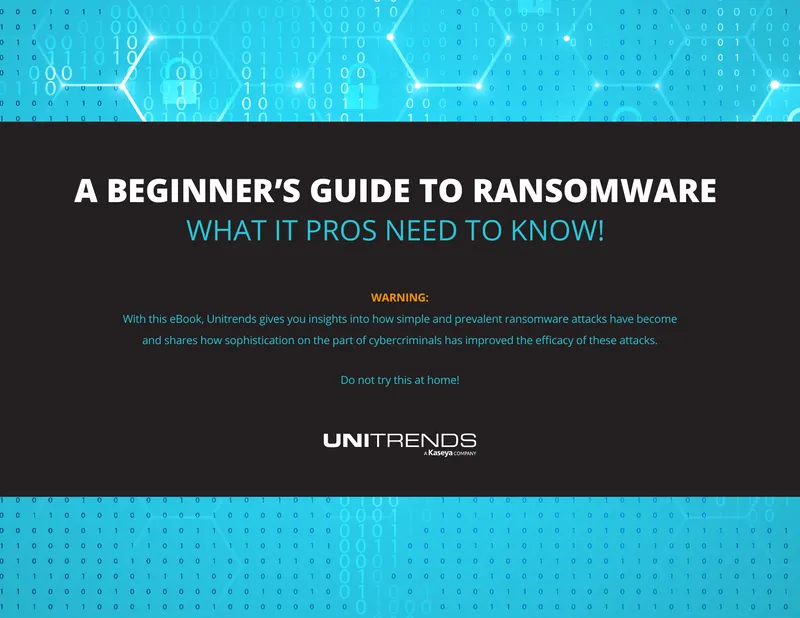 Beginner's Guide to Ransomware Threats
