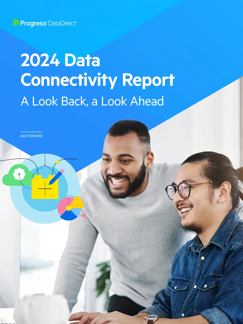 2024 Data Connectivity Survey Findings